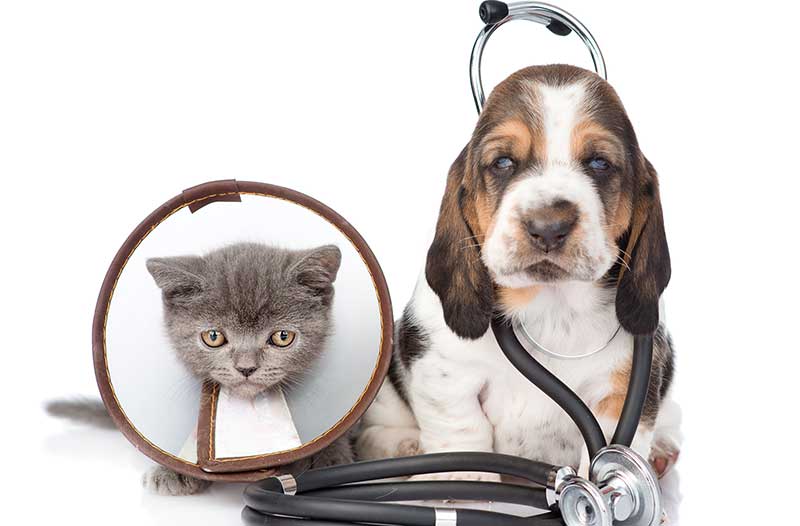 公司簡介區塊圖片