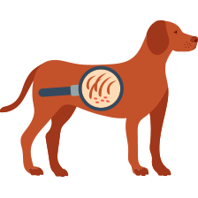 皮膚及內分泌科