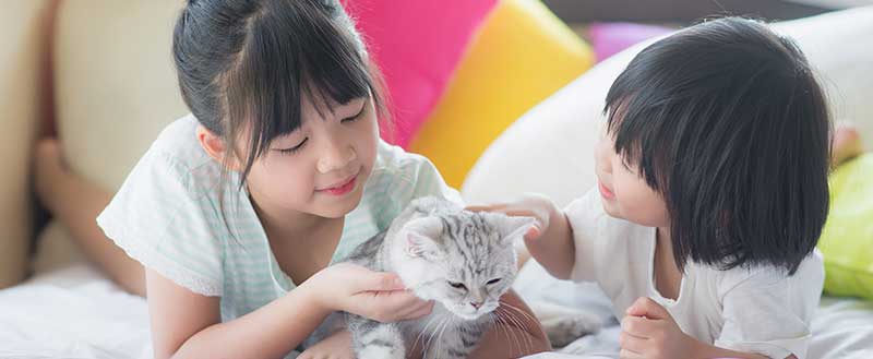 本診所採用預約制